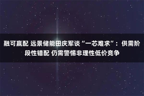 融可赢配 远景储能田庆军谈“一芯难求”：供需阶段性错配 仍需警惕非理性低价竞争